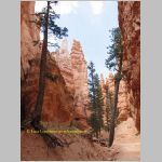 20060819_19BryceCanyon_019 copia.jpg